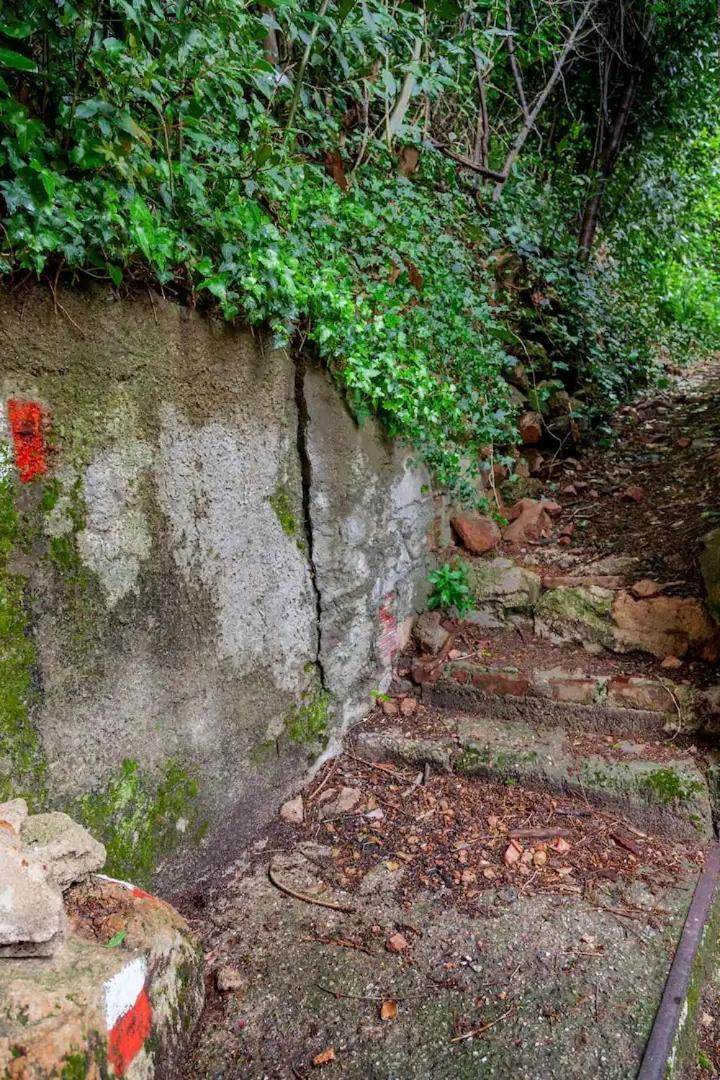 Rifugio Sul Lago Di Lugano A 포르토 세레시오 외부 사진